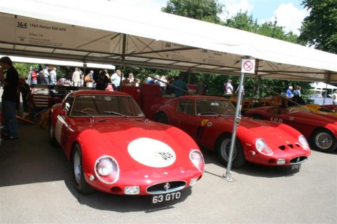 IMG_9838 (Medium).JPG