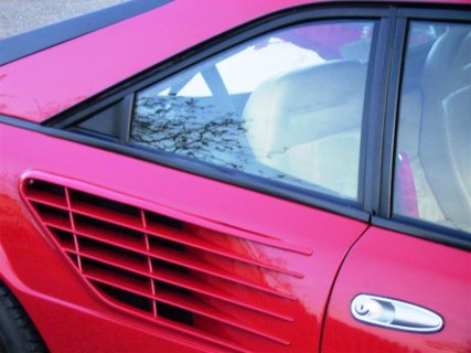 P9200026 (Medium).JPG