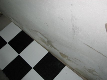 IMG_0771 (Medium).jpg