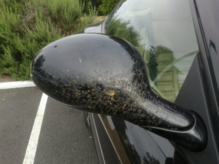 10062011026 - Copy.jpg